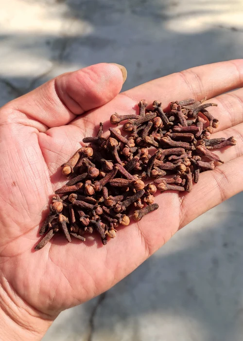 Indonesian Lalpari AB6 Cloves - PT Pertuju Solusi Niaga