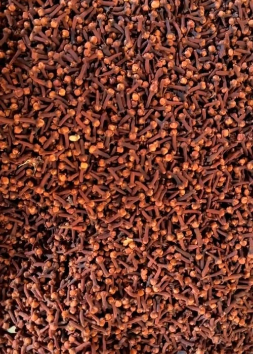Indonesian Lalpari AB6 Cloves - PT Pertuju Solusi Niaga