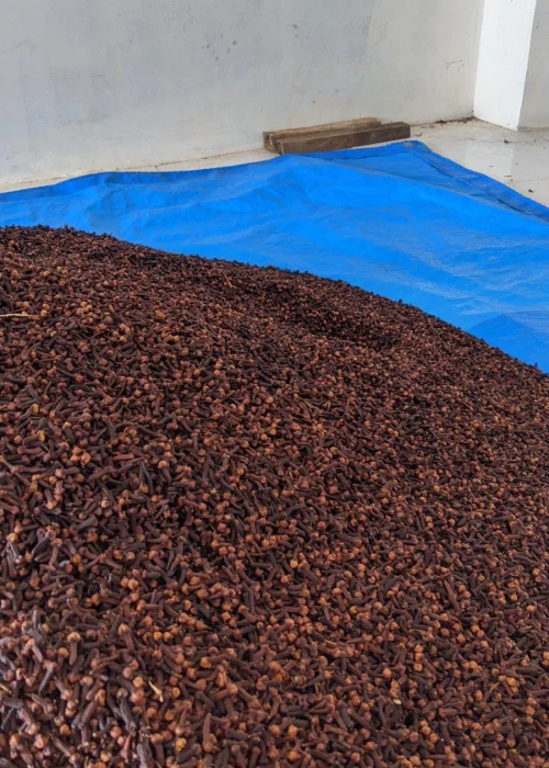 Indonesian Lalpari AB6 Cloves - PT Pertuju Solusi Niaga