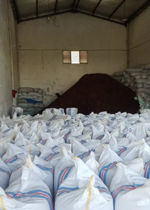 Indonesian Lalpari AB6 Cloves - PT Pertuju Solusi Niaga