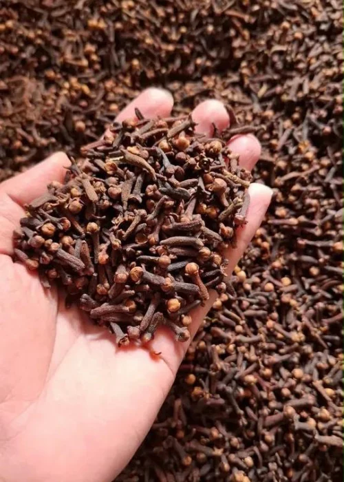Indonesian Lalpari AB6 Cloves - PT Pertuju Solusi Niaga